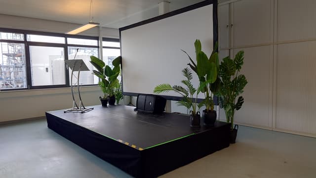 Stage with a lectern, projection screen and plants, without people in view