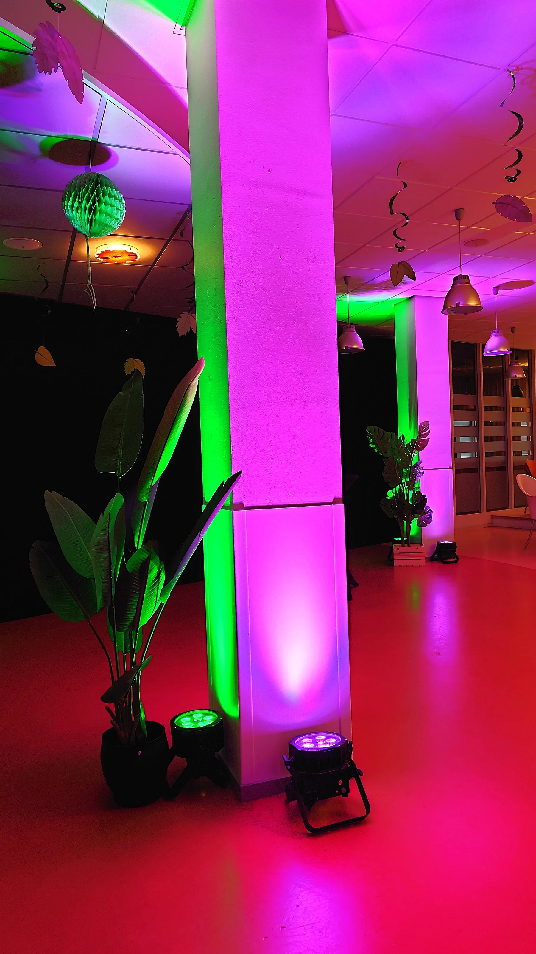 Illuminated columns, drapes and plants in the restaurant